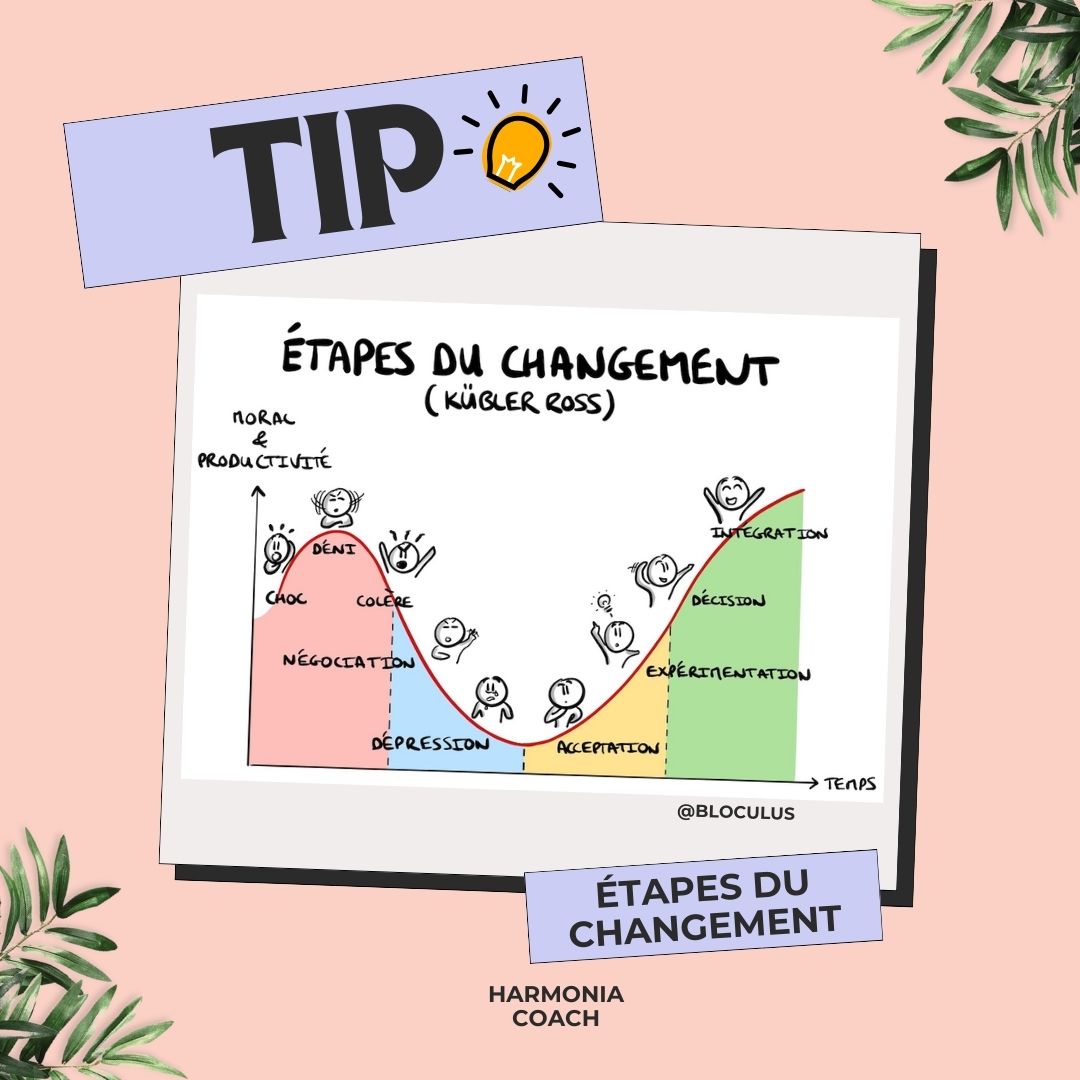 🌟 Les grandes étapes du changement 🌟 